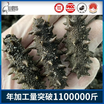 大连大火拉缸盐半干原料批发可做国标干货即食海参图2