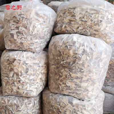 新鲜货云南土特产野生食用菌南北干货老人头菌干品菌子菌菇类批发