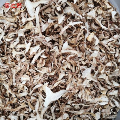 新货云南野生青杆菌干货 青冈菌雪山松茸土特产1000g批发量大从优图3