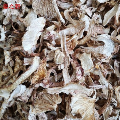 新货云南野生青杆菌干货 青冈菌雪山松茸土特产1000g批发量大从优图2