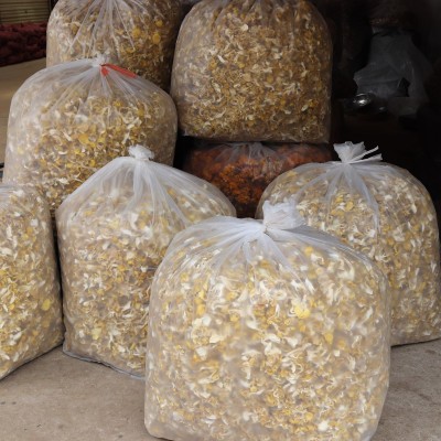 新货云南鸡油菌鸡油黄玉黄蘑菇干货 特产1000g小朵煲汤菌汤包批图3