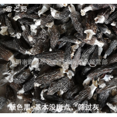 新货带脚羊肚菌干货500g羊肚菇羊肚蘑干菌云南土特产品羊肚菌批发图2