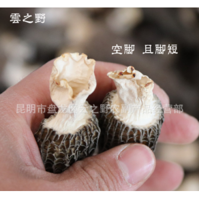 新货带脚羊肚菌干货500g羊肚菇羊肚蘑干菌云南土特产品羊肚菌批发图4