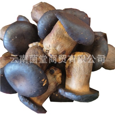 黑牛肝菌野生云南特产新鲜菌子野生菌类鲜货食用鲜菌菇美味黑牛肝图4