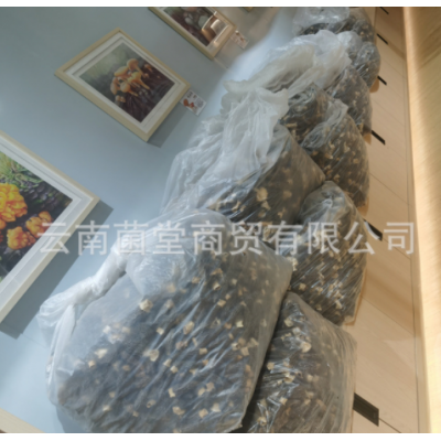 云南羊肚菌干货野生干蘑菇汤料新鲜野生蘑菇菌类煲汤料羊肚菌图2