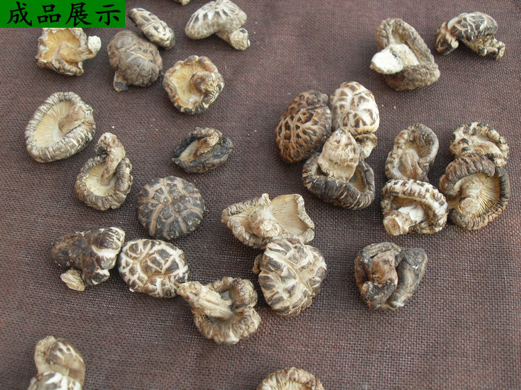 香菇详情页明细 (14)