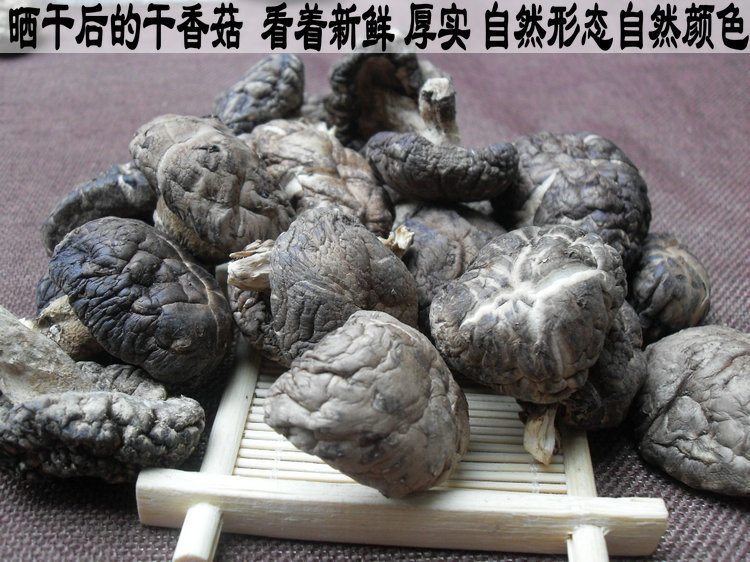 椴木香菇
