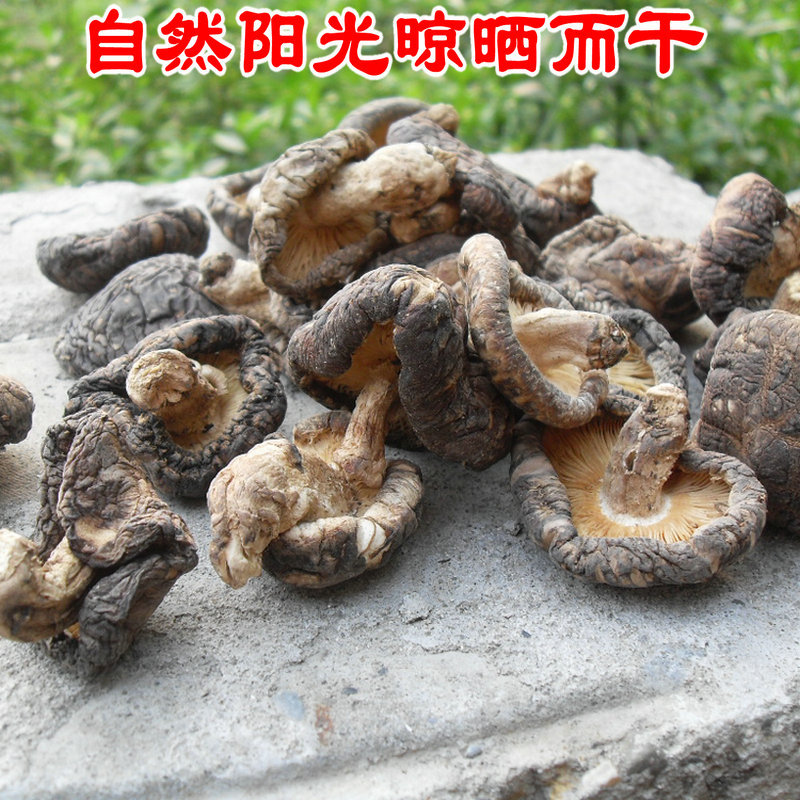 椴木香菇