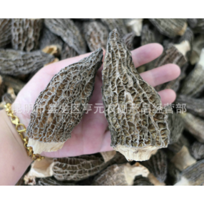 羊肚菌 羊肚菌干货 剪柄6-8公分 野生菌干品 产地直销 量大从优图4