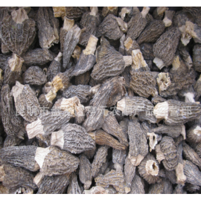 羊肚菌 大羊肚菌批发 羊肚菌干品 野生食用菌图4