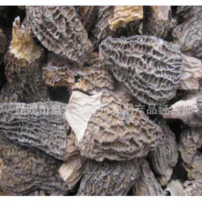 羊肚菌 大羊肚菌批发 羊肚菌干品 野生食用菌