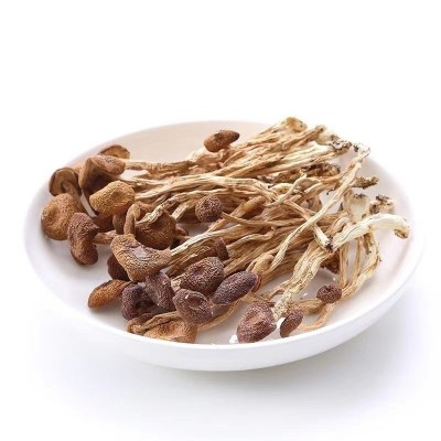 古田茶树菇干货批发茶树菇不开伞新鲜茶薪菇农家自种图5