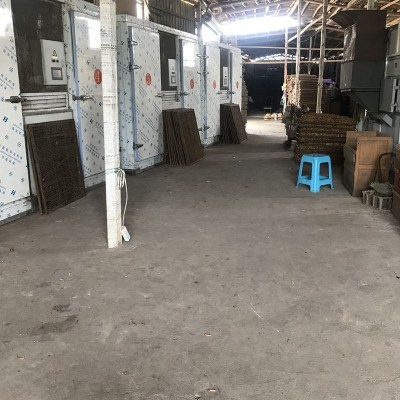 古田茶树菇干货批发茶树菇不开伞新鲜茶薪菇农家自种图3