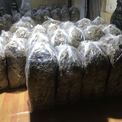 古田茶树菇干货批发茶树菇不开伞新鲜茶薪菇农家自种图4