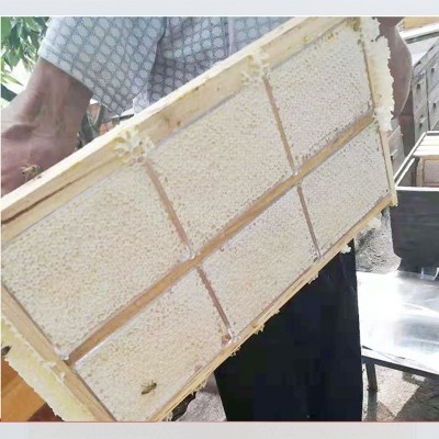 蜂巢蜜500g蜂蜜荆条蜂巢蜜农家蜂蜜巢蜜蜂蜜嚼着吃一件代发批发图2