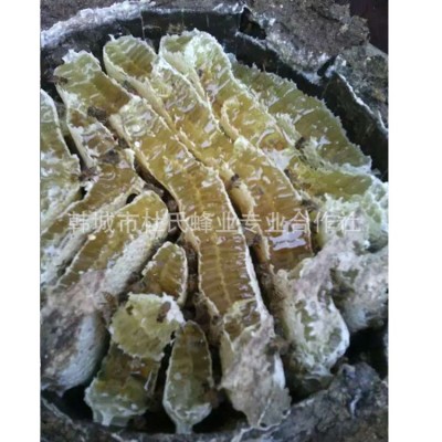 深山蜂蜜农家自产深山土蜂蜜蜂蜜厂家蜂蜜批发陕西特产可代做图3