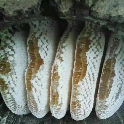 【源头厂家】深山土蜂蜜巢蜜自产 嚼着吃的蜂蜜500g包装批发活动图3