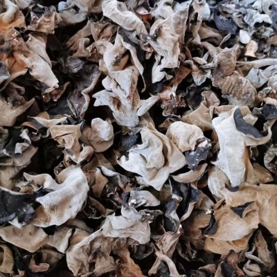 批发木耳 黑木耳 一件代发