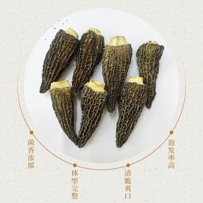 厂家供应云南四川特产羊肚菌食品菌类干货营养煲汤材料食用香浓菌图2
