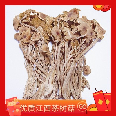 茶树菇散装批发 江西茶树菇不开伞细杆无熏硫 5kg煲汤食材茶树菇图2