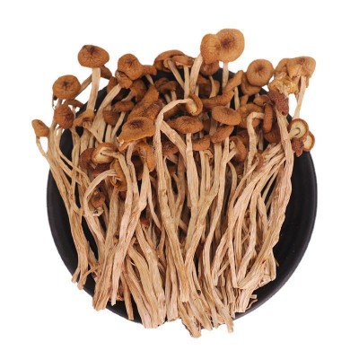 茶树菇散装批发 江西茶树菇不开伞细杆无熏硫 5kg煲汤食材茶树菇图5