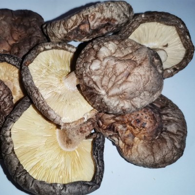 香菇干批发散装1千克 无熏硫大号冬菇河南香菇干香菇剪脚无根肉厚图3