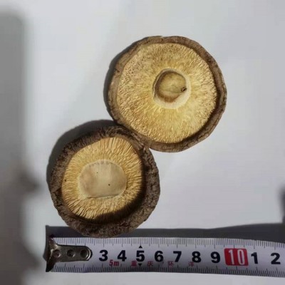 香菇干批发散装1千克 无熏硫大号冬菇河南香菇干香菇剪脚无根肉厚图5