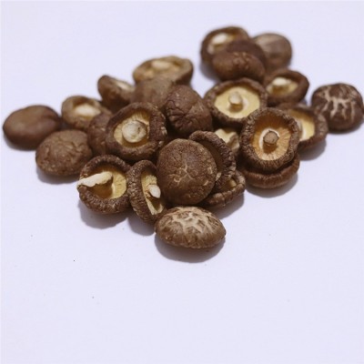 香菇干1千克散装批发 无熏硫平脚菌菇 优等河南干香菇肉厚小香菇图2