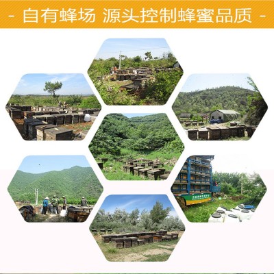 蜂蜜桶装百花蜜洋槐散装枸杞枣花龙眼荔枝荆条山花土蜂蜜批发厂家图4