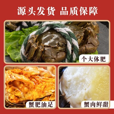 厂家现货批发水产自家养殖河蟹公蟹母蟹现捞发货图4