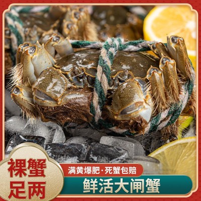 厂家现货批发水产自家养殖河蟹公蟹母蟹现捞发货图2