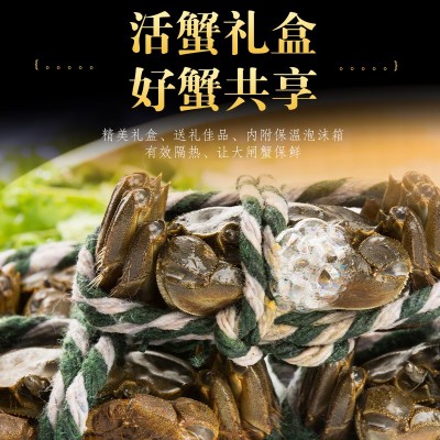 厂家现货批发水产自家养殖河蟹公蟹母蟹现捞发货图5