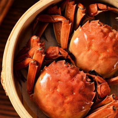 现货阳澄湖镇大闸蟹 公蟹4.5两3只母蟹3两3只礼盒装大闸蟹批发图4