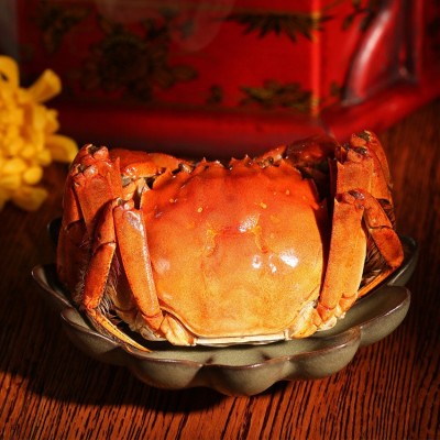 现货阳澄湖镇大闸蟹公蟹5-5.5两4只母蟹3.9-4.3两4只礼盒装大闸蟹