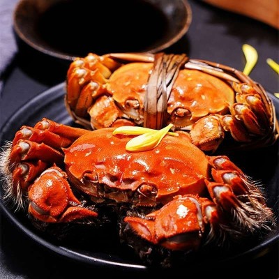 现货阳澄湖镇大闸蟹 公蟹3.5两4只母蟹2.5两4只礼盒装大闸蟹批发图2