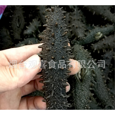 东海顶火拉缸盐海参高刺 盐渍海参 大火候拉缸盐腌渍海参批发图2