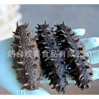 青参拉缸盐海参半干大头刺参 盐渍腌渍海参 一手货源图2