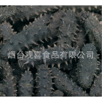 西海拉缸盐海参顶火 大火候盐渍海参腌渍海参批发 一手货源