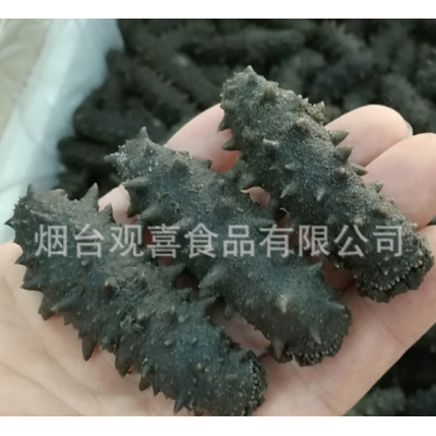 西海拉缸盐海参顶火 大火候盐渍海参腌渍海参批发 一手货源图2