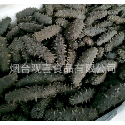西海拉缸盐海参顶火 大火候盐渍海参腌渍海参批发 一手货源图5