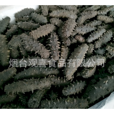 西海拉缸盐海参顶火 大火候盐渍海参腌渍海参批发 一手货源图4