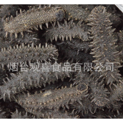 六排刺盐渍海参半干海参 大火候红参拉缸盐腌渍海参批发图2