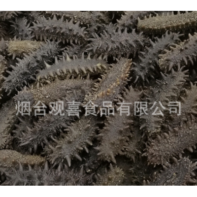 六排刺盐渍海参半干海参 大火候红参拉缸盐腌渍海参批发图5