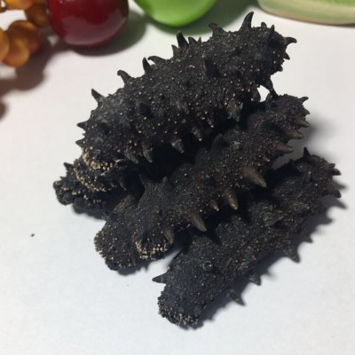 大连深海底播纯淡干海参干货批发50g 大型海参工厂稳定一手货源图2