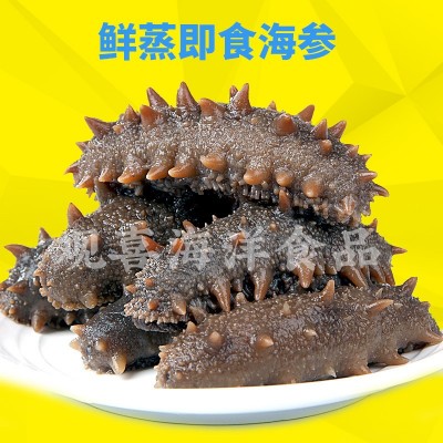冷蒸即食海参大连海参低压即食海参速冻鲜食海参散货500g