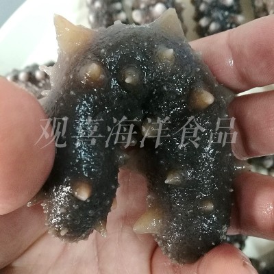 冷蒸即食海参大连海参低压即食海参速冻鲜食海参散货500g图4