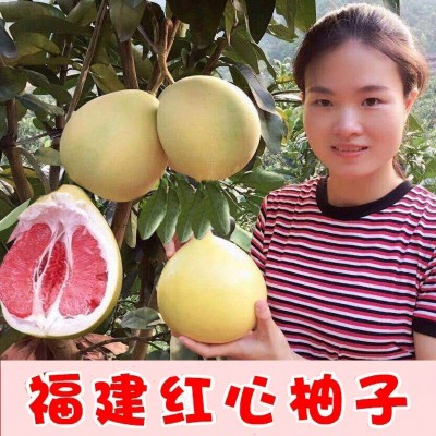 柚子红心正宗福建平和红肉蜜柚管溪柚子多汁薄皮批发当季新鲜水果图2