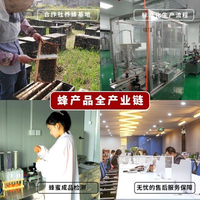 500克高原野花蜂蜜青海土特产百花土蜂蜜跑江湖地摊货源蜂蜜批发图4