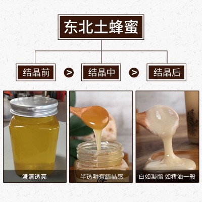 【严选】结晶土蜂蜜东北农家自产野生土蜂蜜百花蜂蜜结晶蜜 代发包邮图3