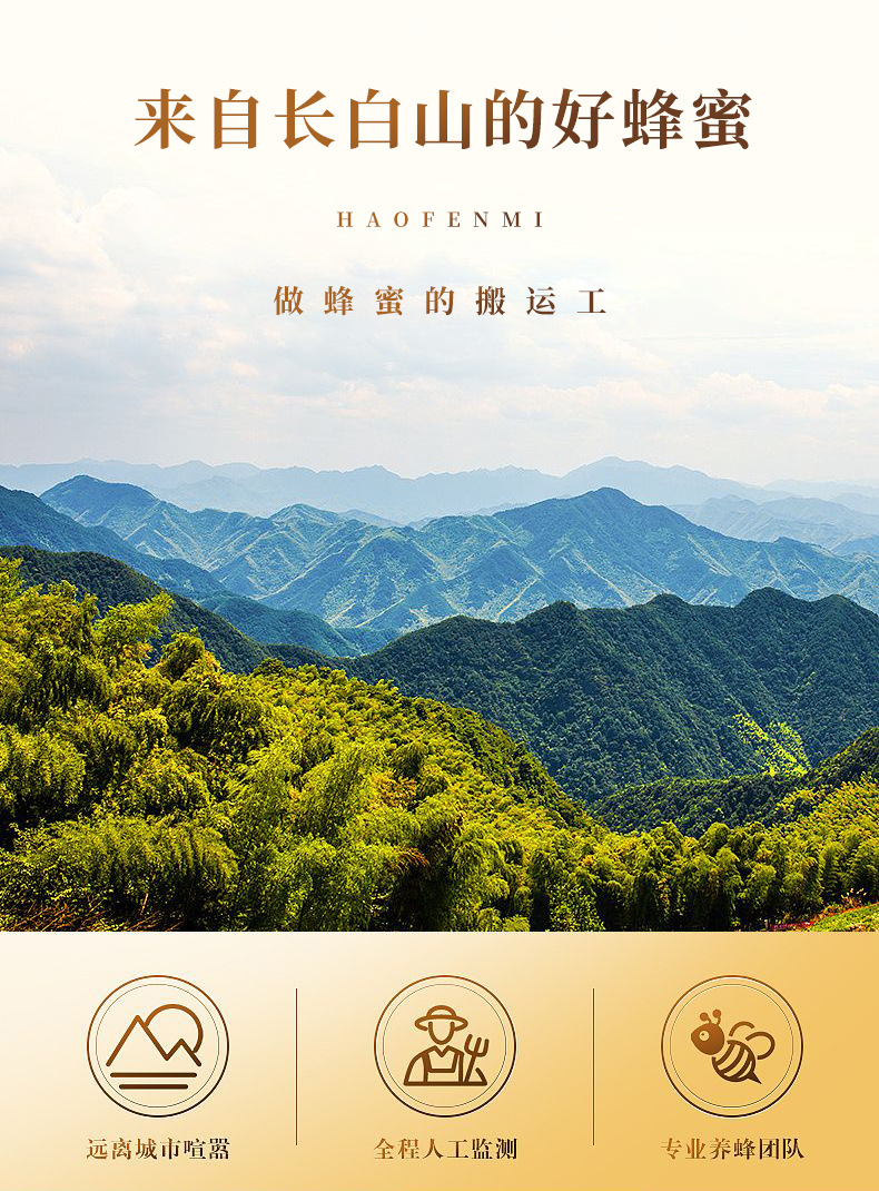 黑风详情_05